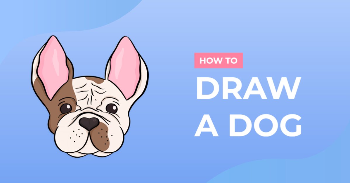 How to Draw a Dog