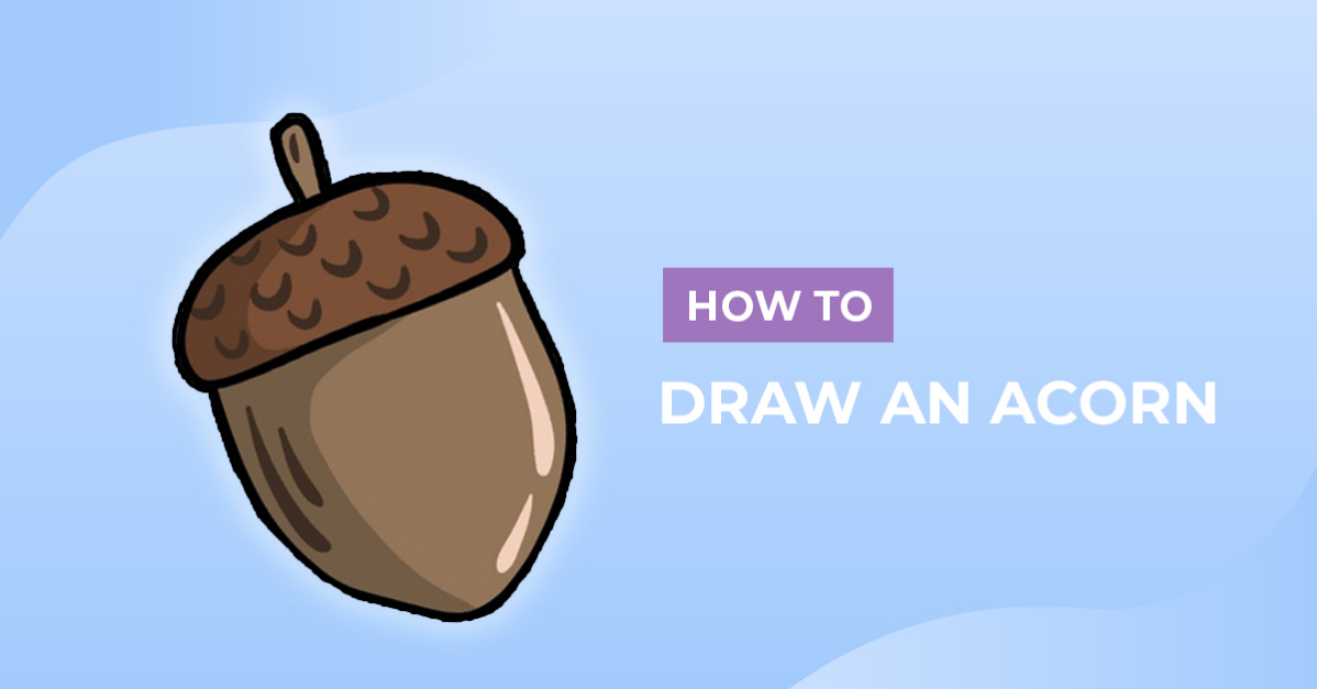 How to Draw an Acorn