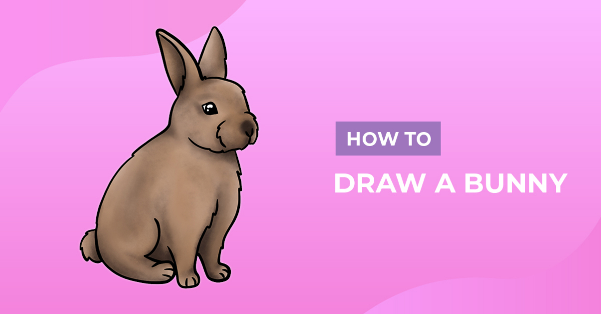 How to Draw a Bunny