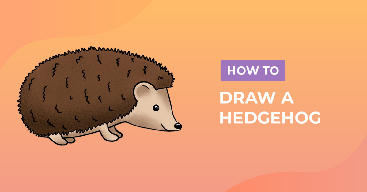 How to Draw a Hedgehog