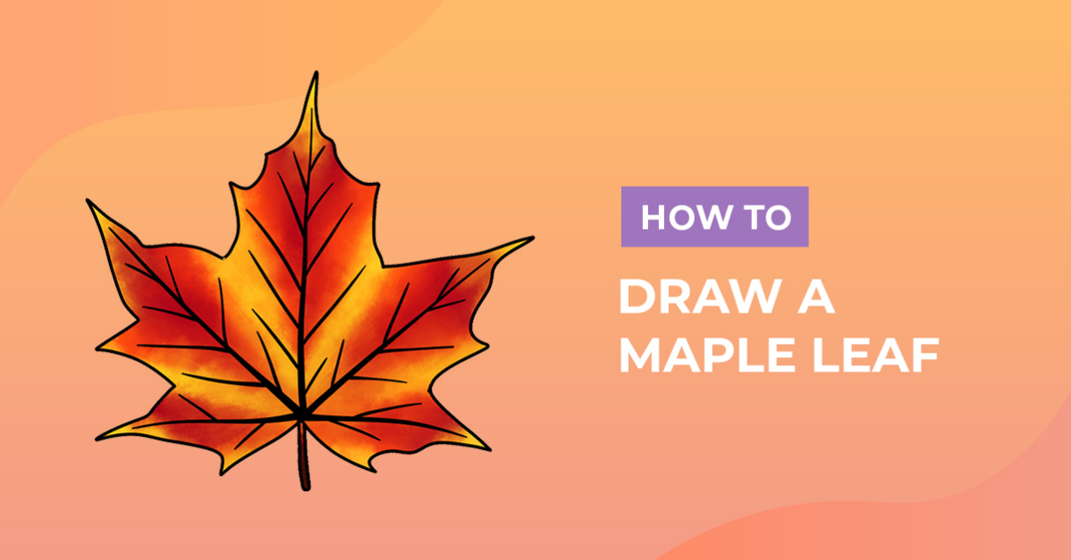 How to Draw a Maple Leaf
