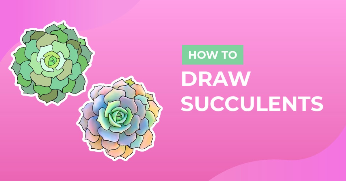 How to Draw Succulents