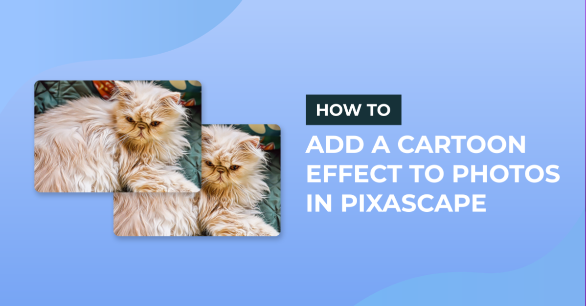 How to Add a Cartoon Effect to Photos in Pixascape