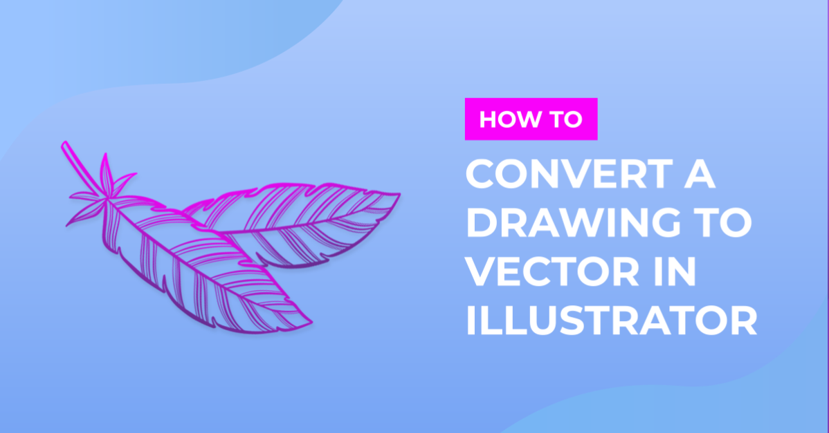 How to Convert a Drawing to a Vector in Adobe Illustrator