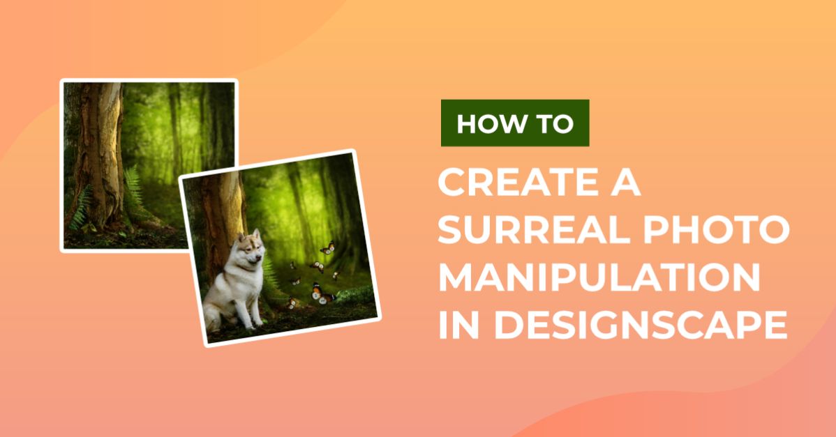 How to Create a Surreal Photo Manipulation in DesignScape