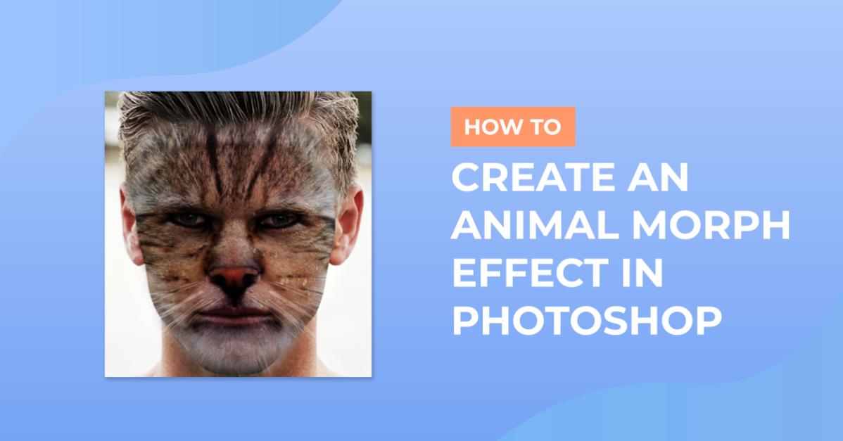 Animal Morph Effect in Photoshop