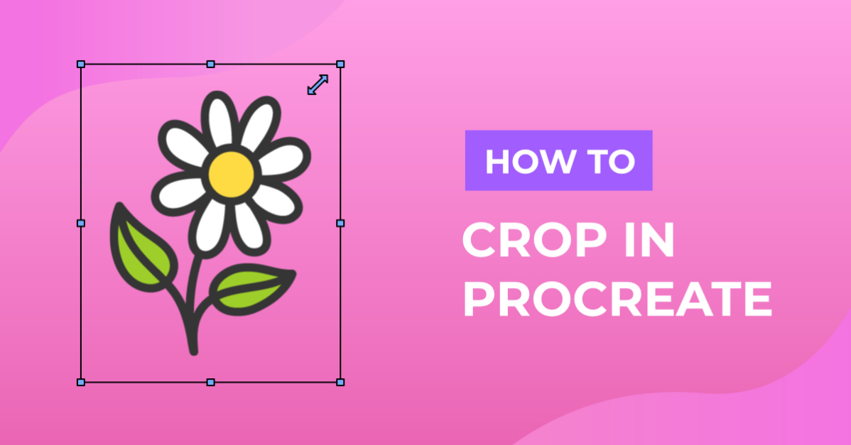 How to Crop in Procreate