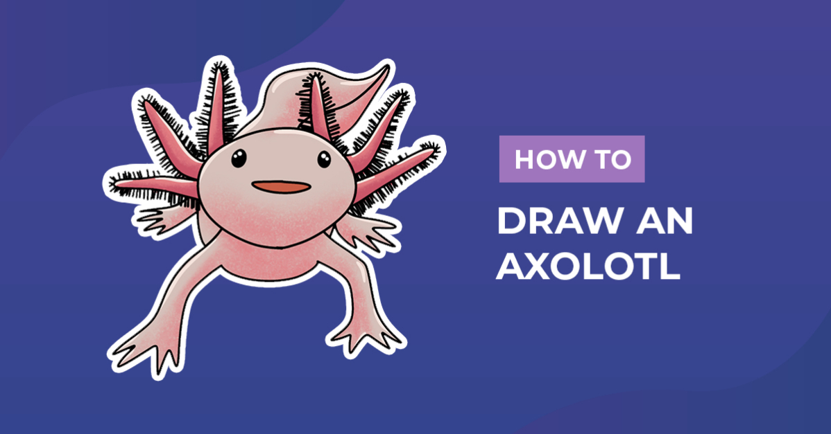 How to Draw an Axolotl