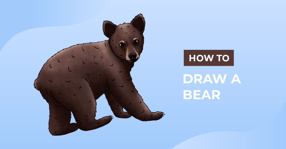 How to Draw a Bear