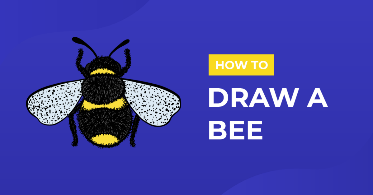 How to Draw a Bee