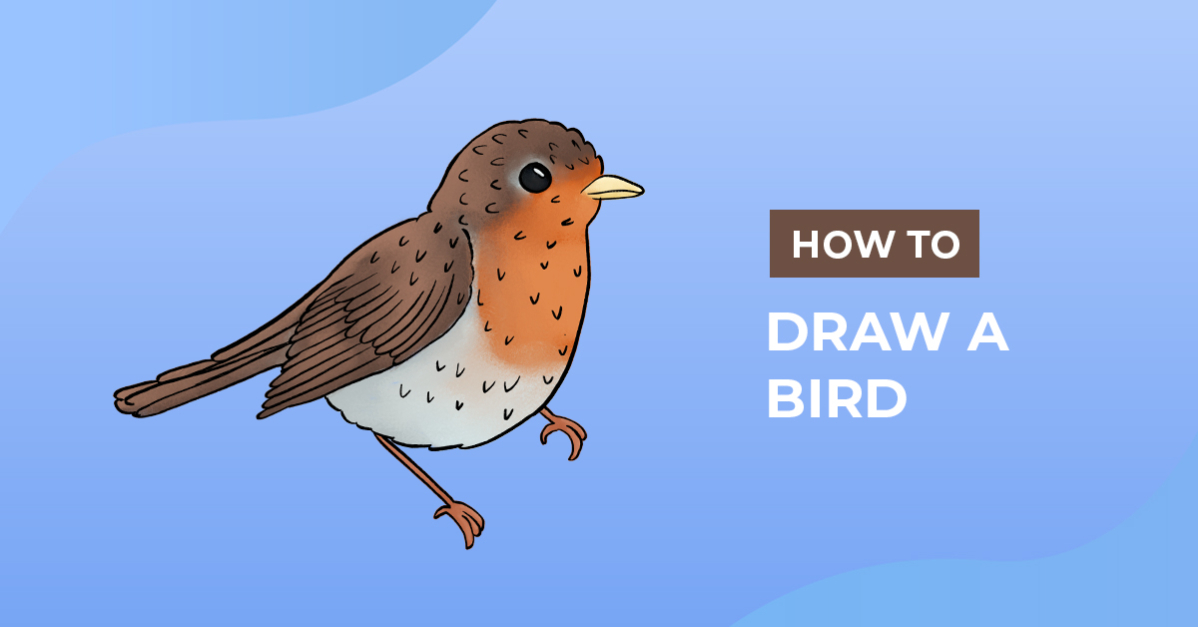 How to Draw a Bird