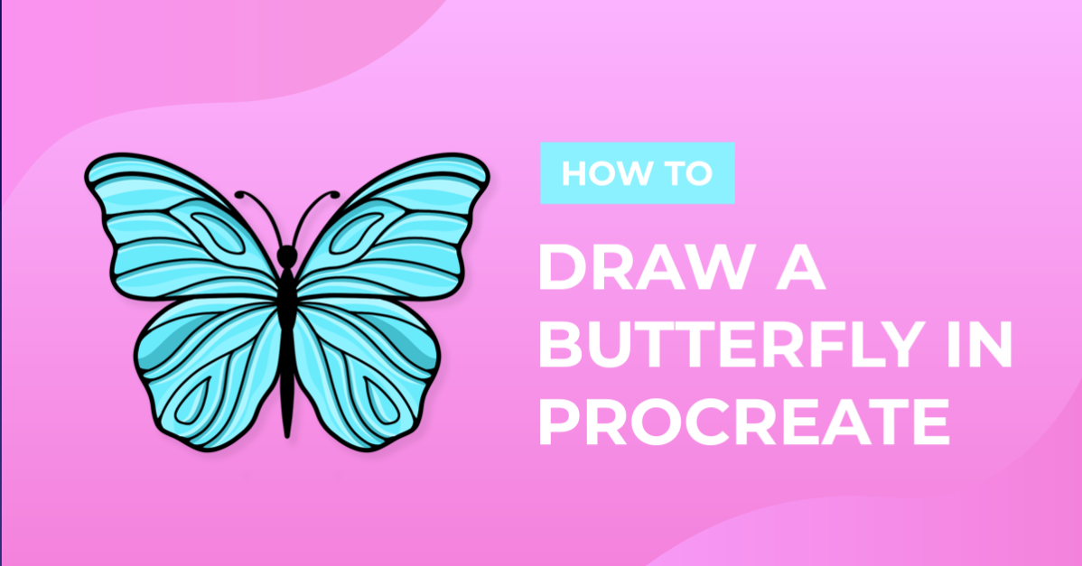 How to Draw a Butterfly in Procreate
