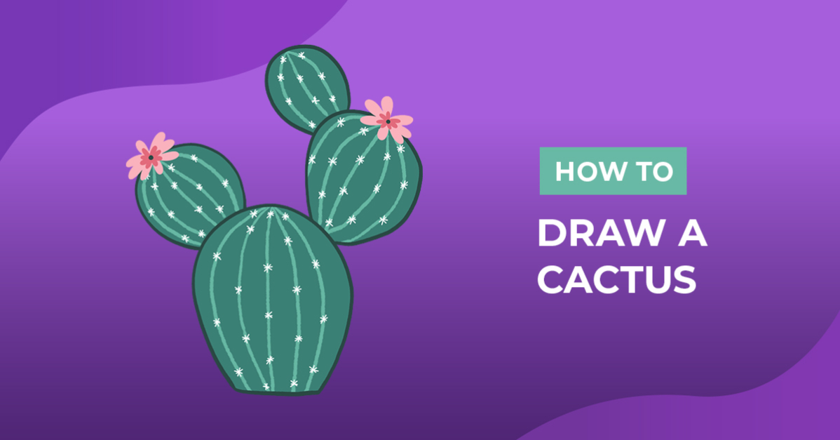 How to Draw a Cactus