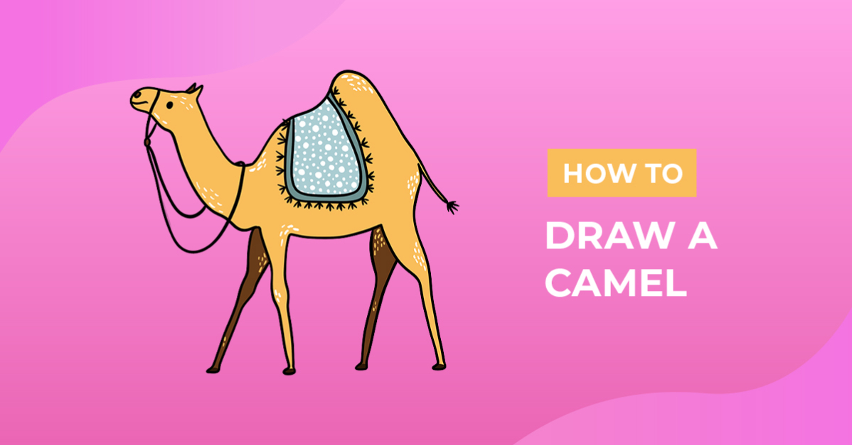 How to Draw a Camel