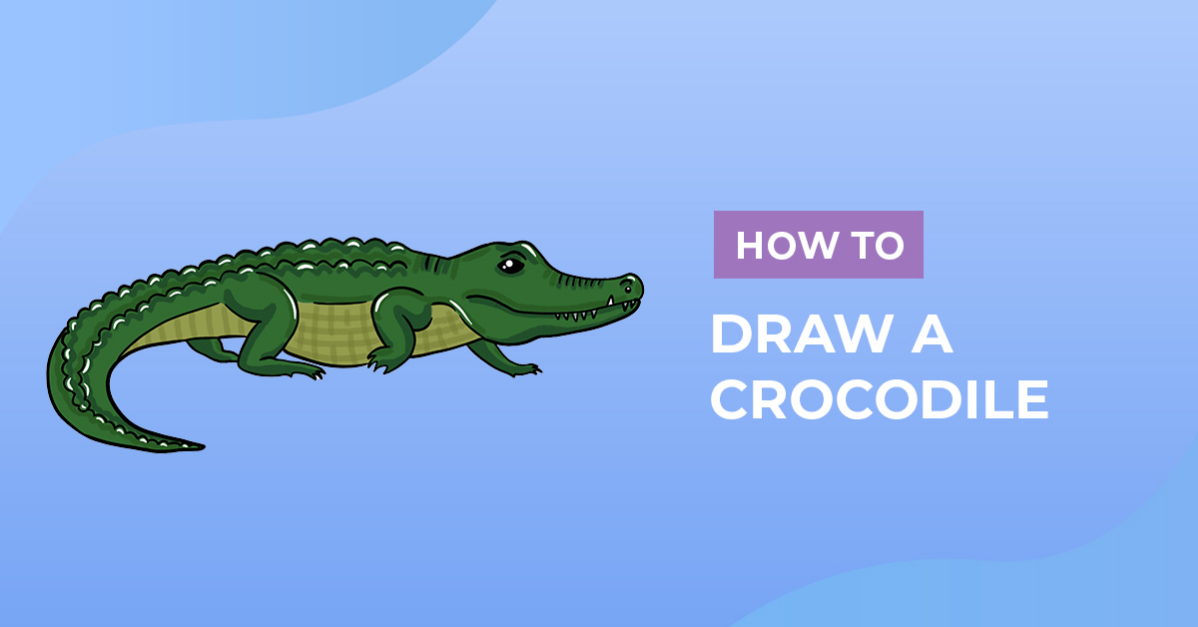 How to Draw a Crocodile