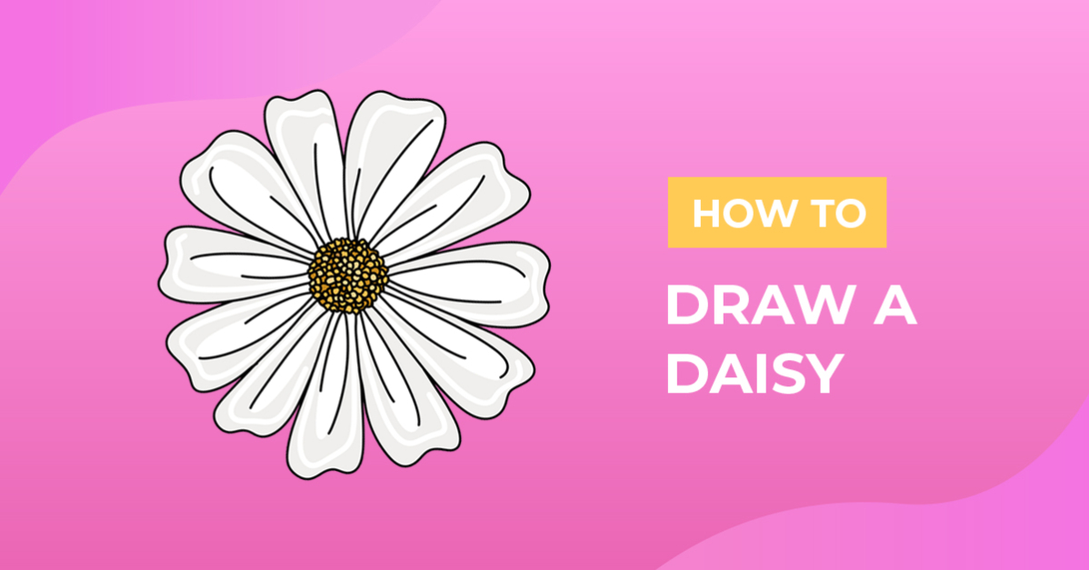 How to Draw a Daisy