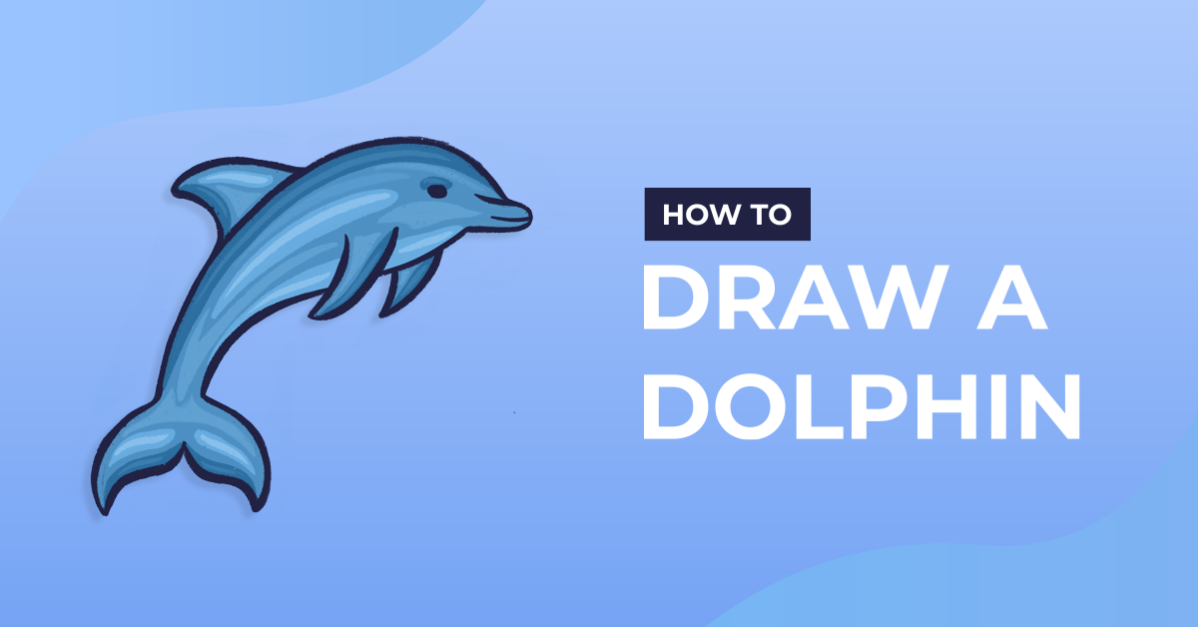 How to Draw a Dolphin