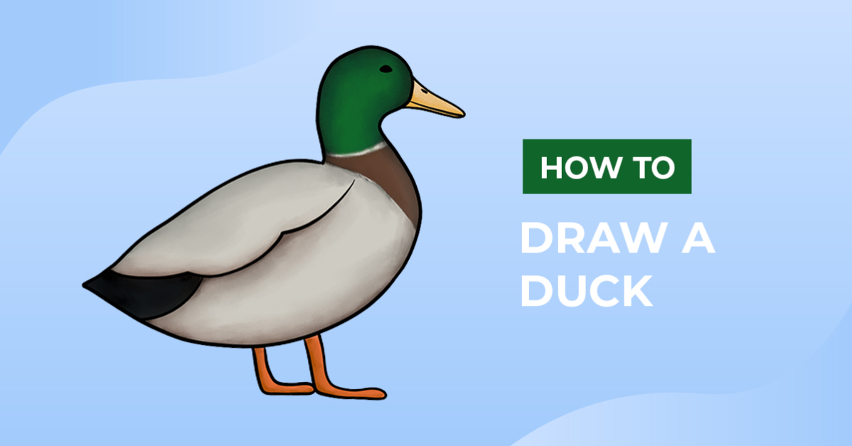 How to Draw a Duck