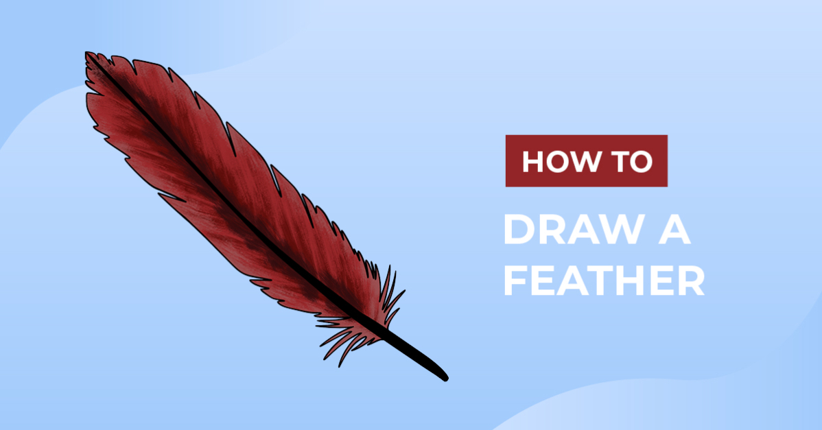 How to Draw a Feather