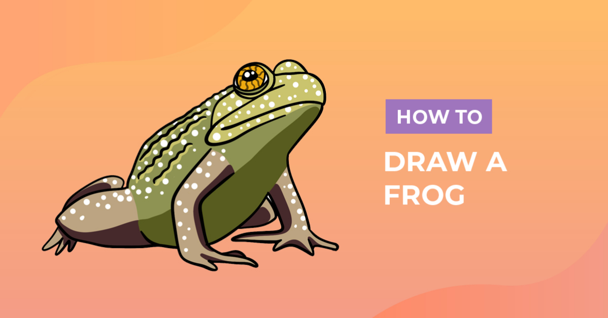 How to Draw a Frog