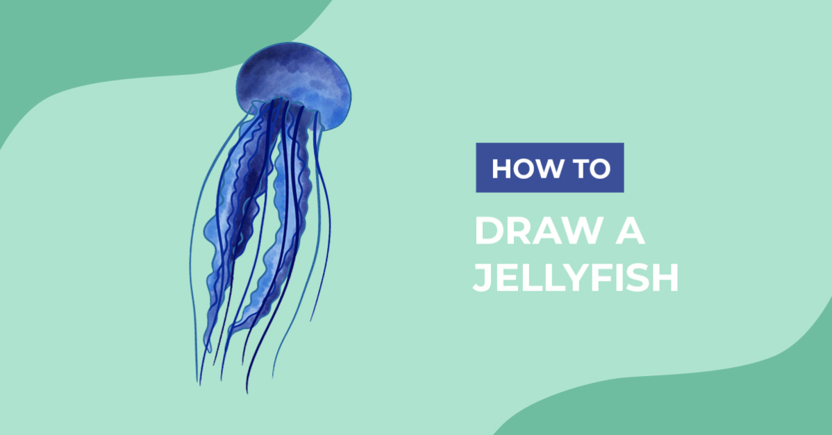 How to Draw a Jellyfish