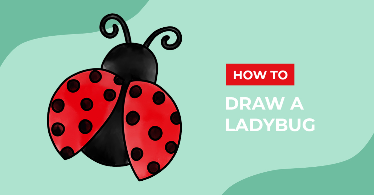 How to Draw a Ladybug