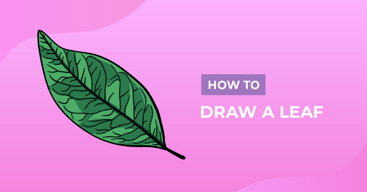 How to Draw a Leaf
