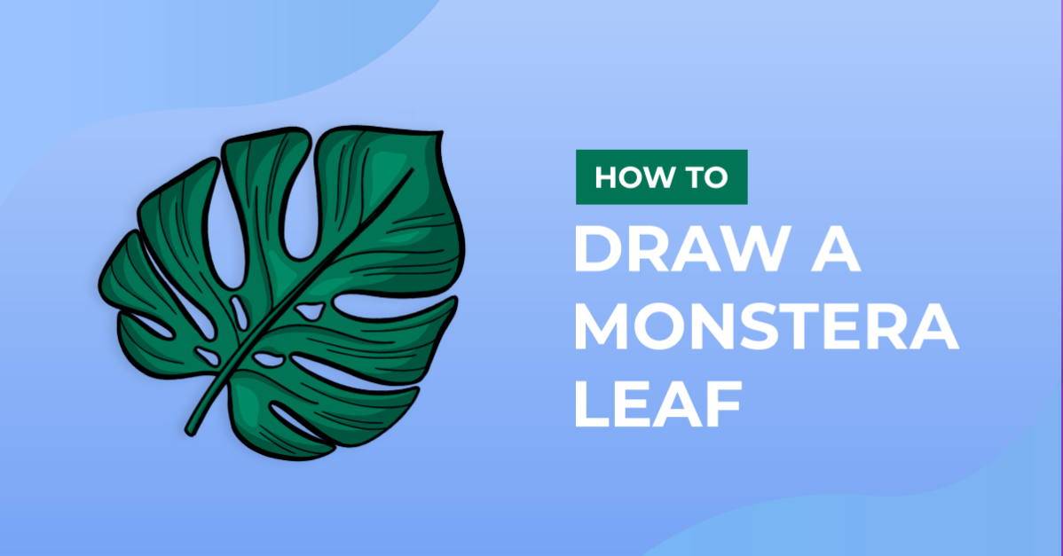 How to Draw a Monstera Leaf