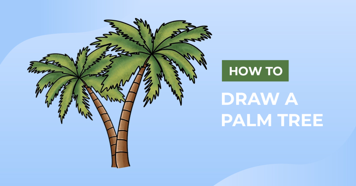 How to Draw a Palm Tree