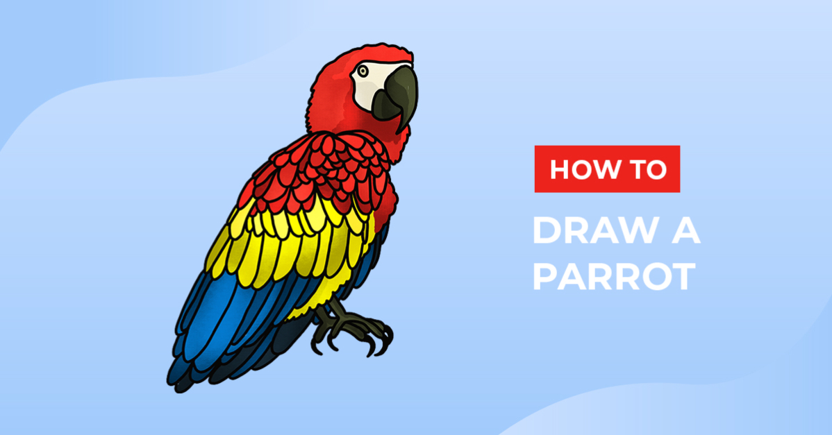 How to Draw a Parrot