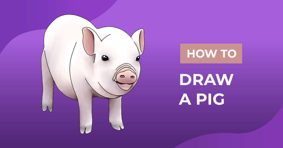 How to Draw a Pig