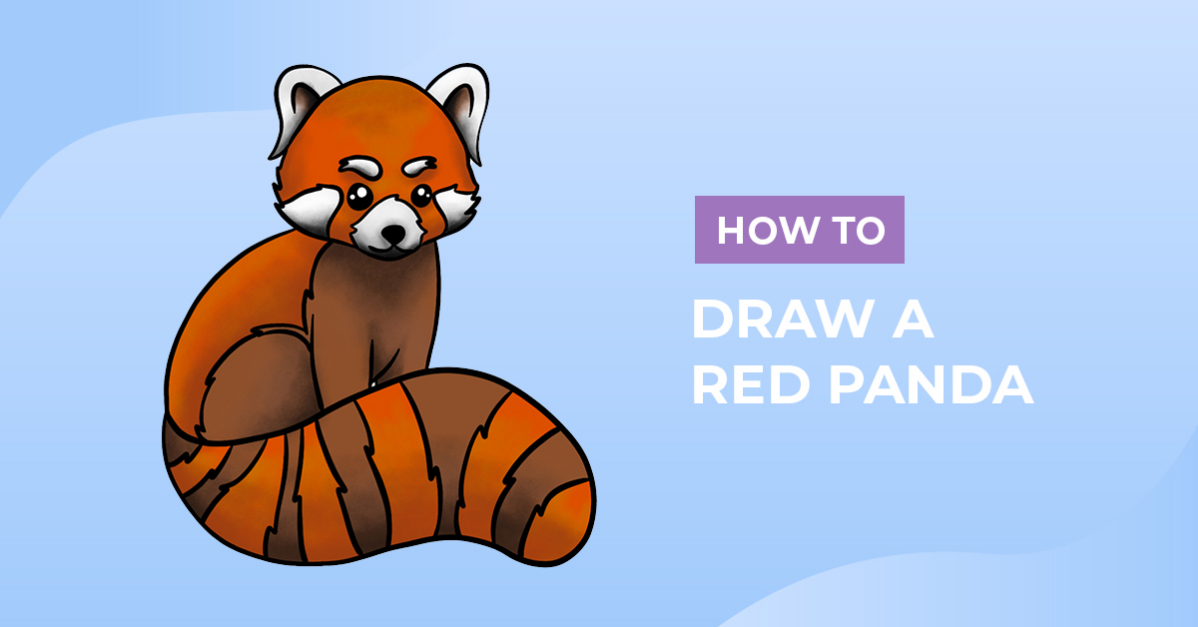 How to Draw a Red Panda