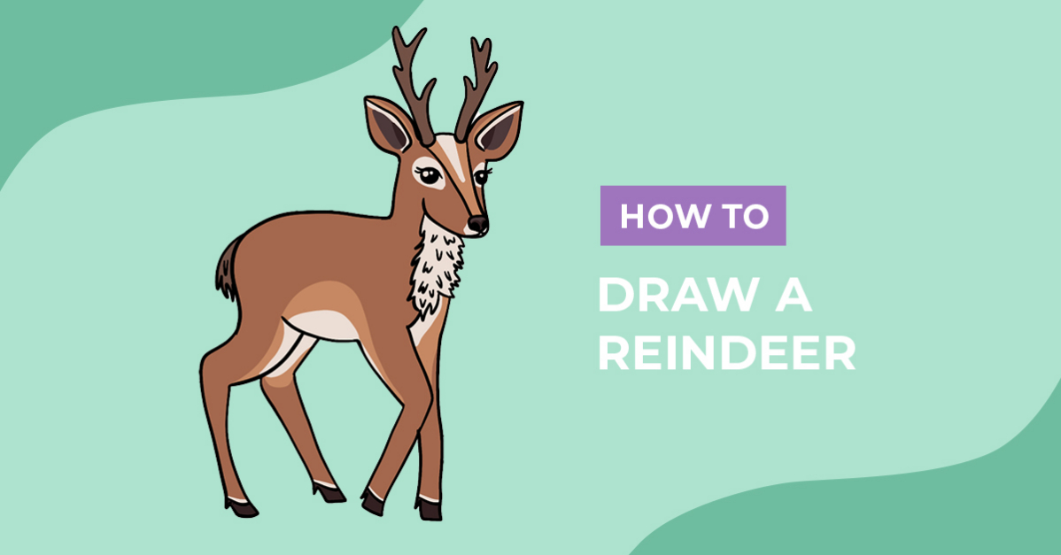 How to Draw a Reindeer