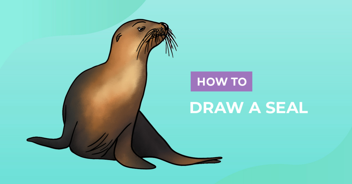How to Draw a Seal