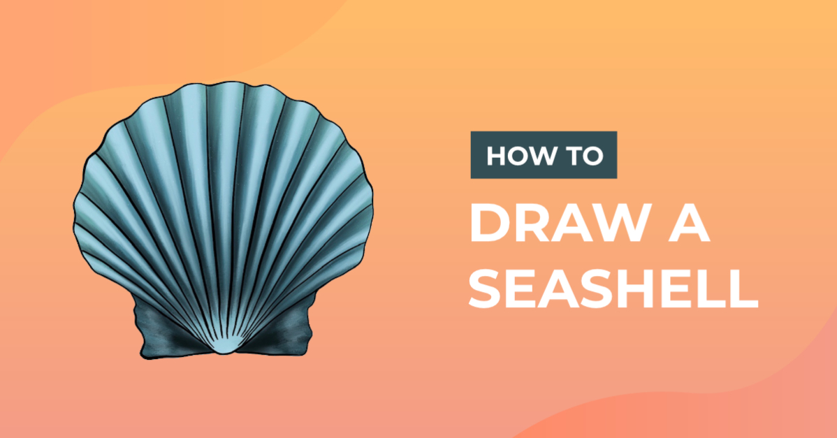 How to Draw a Seashell