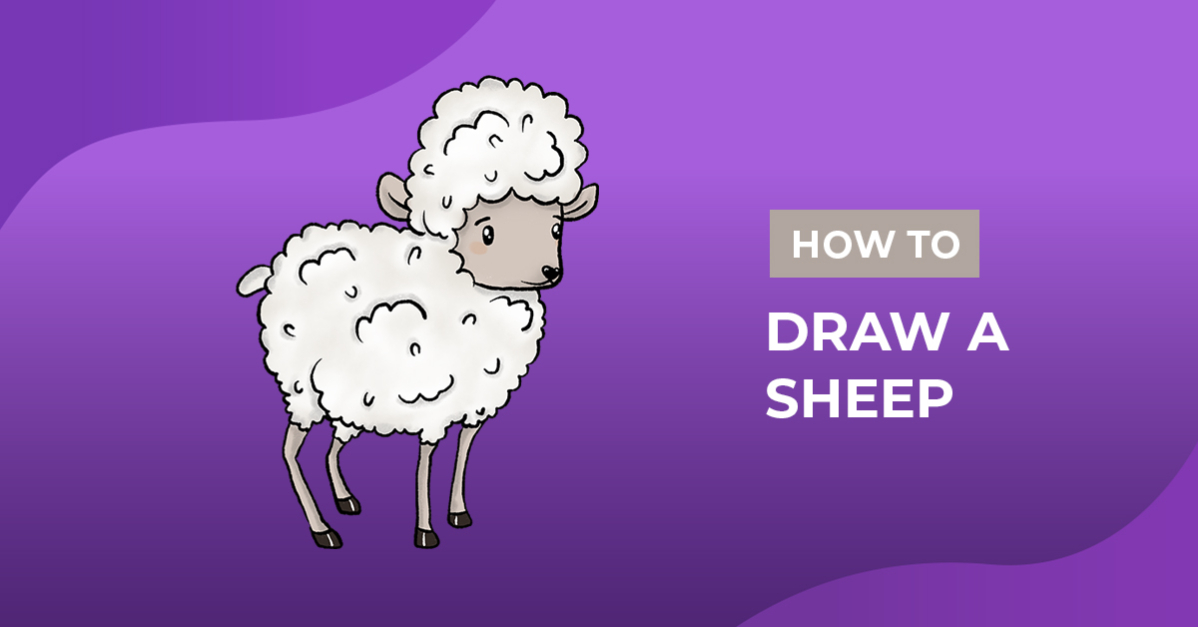 How to Draw a Sheep