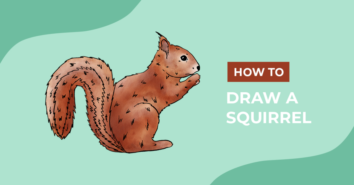 How to Draw a Squirrel