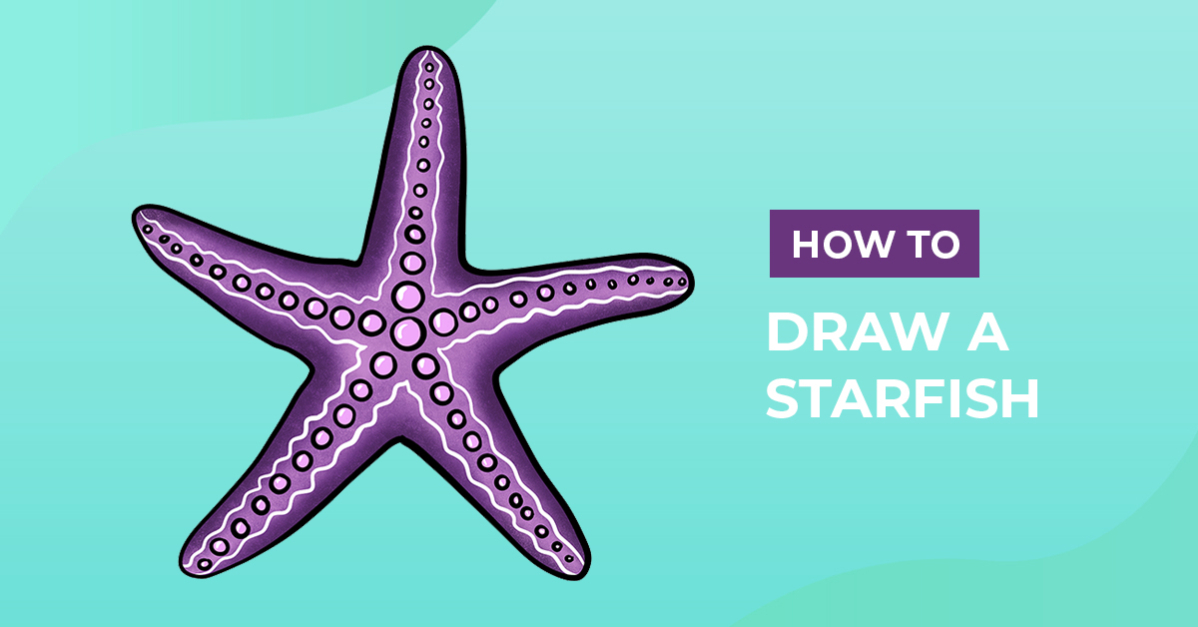 How to Draw a Starfish
