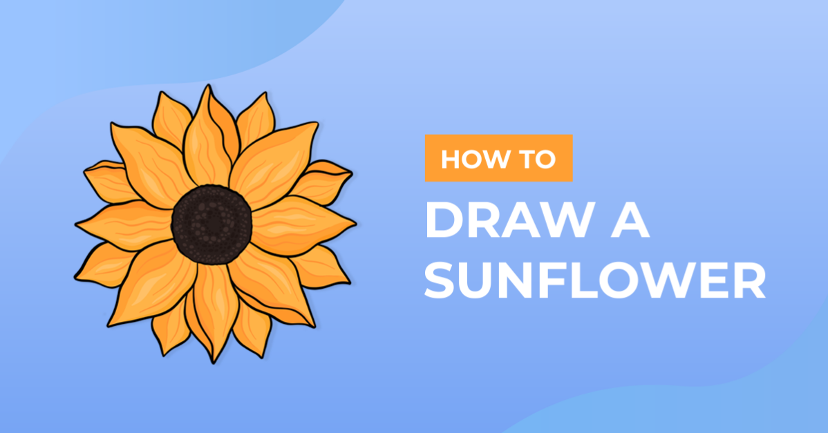 How to Draw a Sunflower