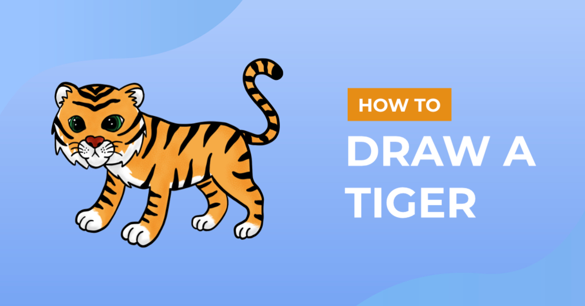 How to Draw a Tiger