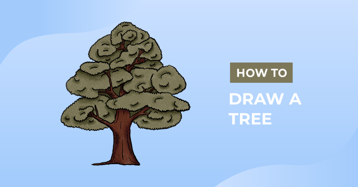 How to Draw a Tree