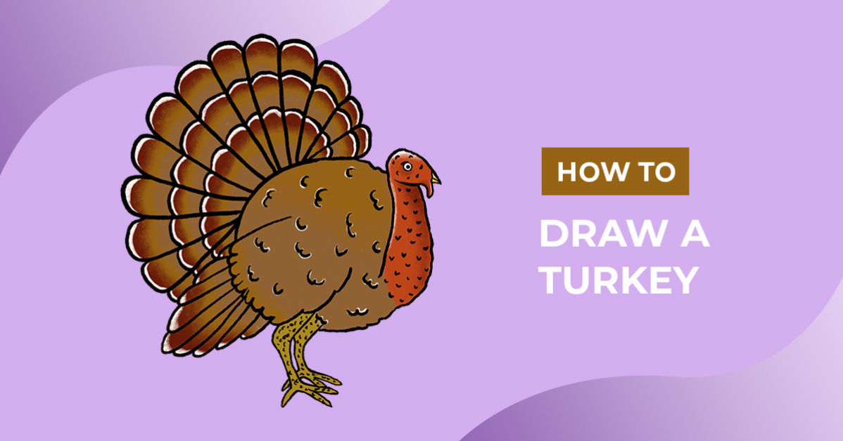 How to Draw a Turkey