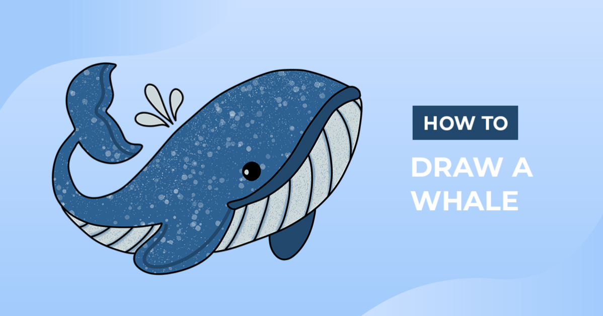 How to Draw a Whale
