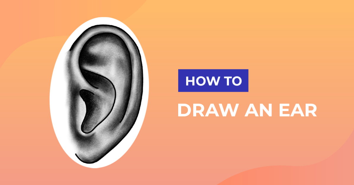 How to Draw an Ear