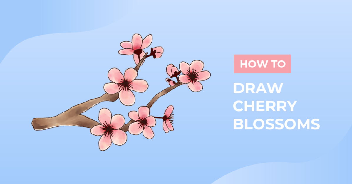 How to Draw Cherry Blossoms