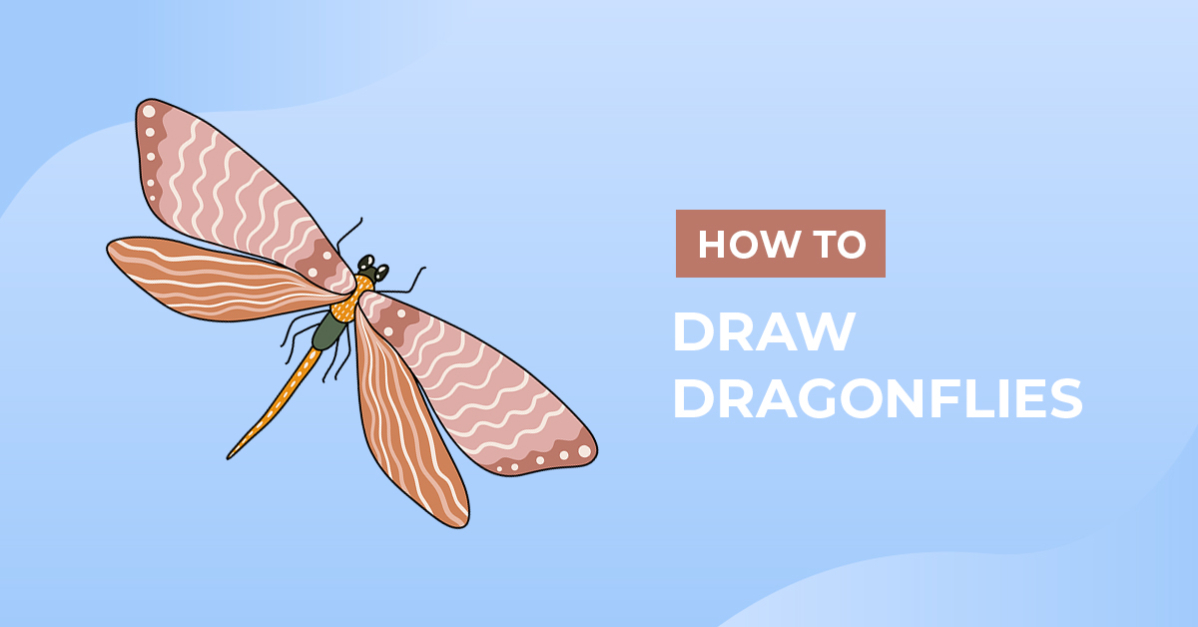 How to Draw Dragonflies