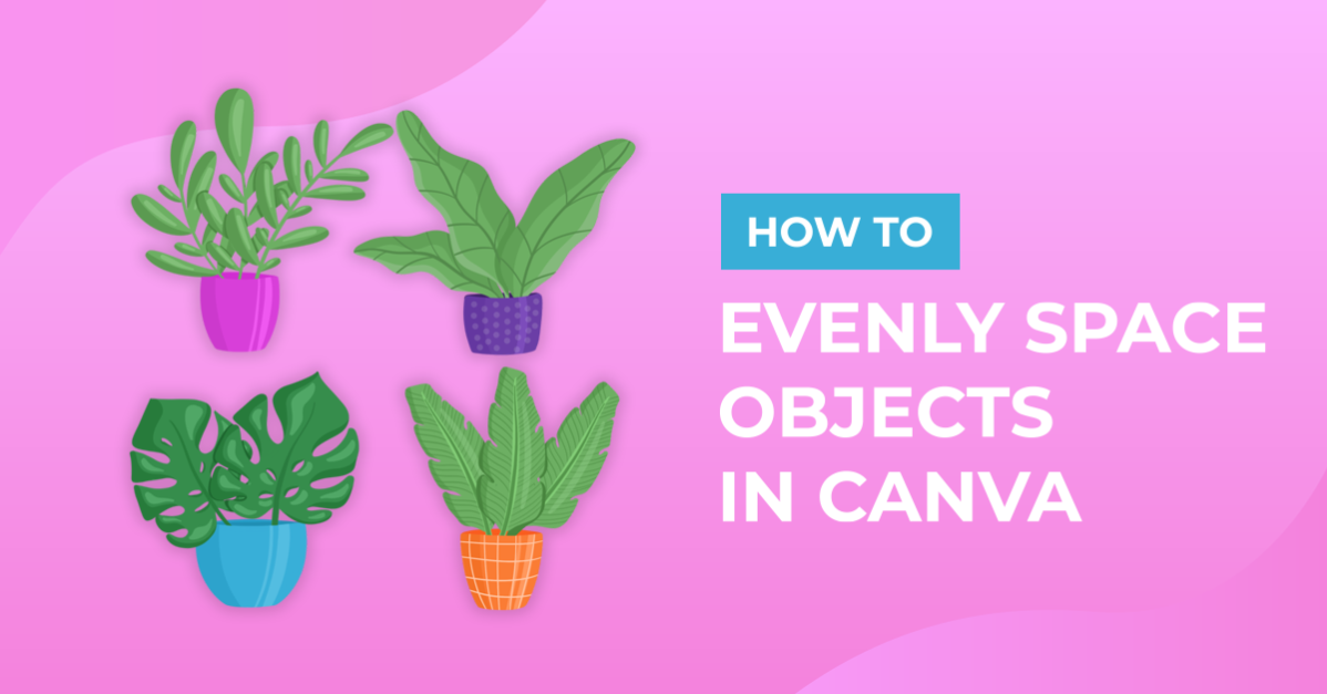 How to Evenly Space Objects in Canva