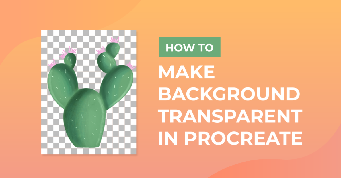 How to Make Background Transparent in Procreate