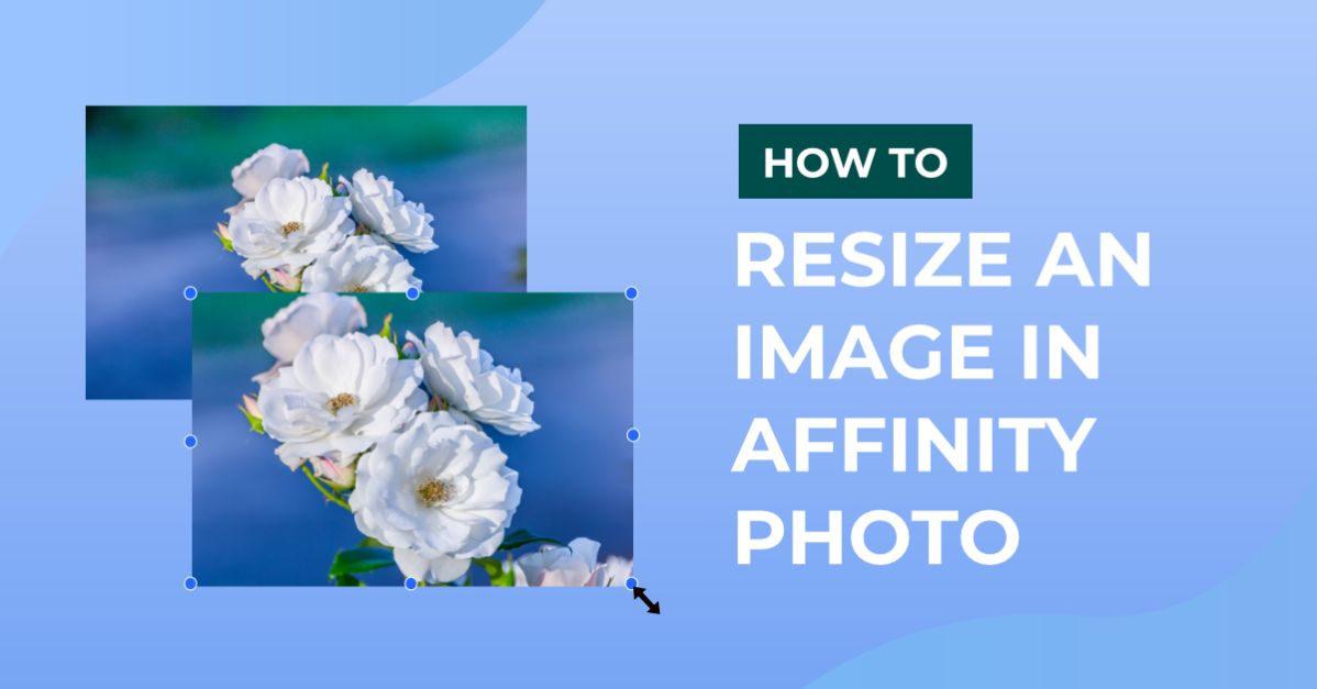 How to Resize an Image in Affinity Photo