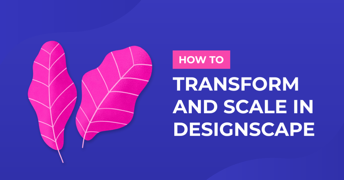 How to Transform and Scale in DesignScape